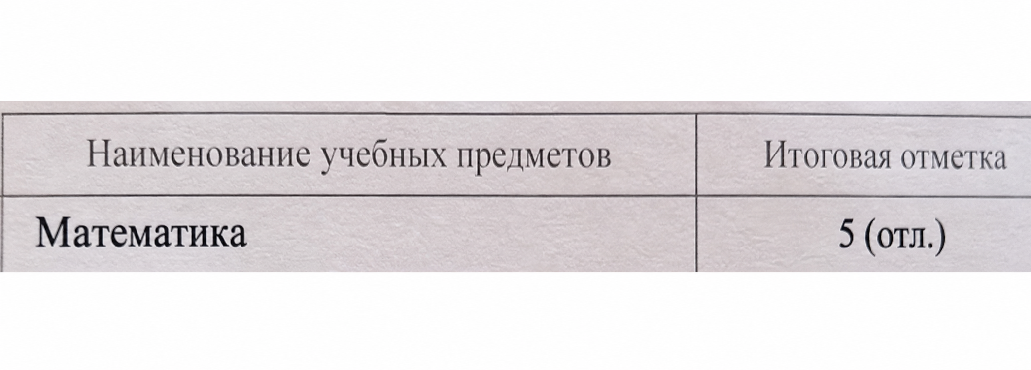 Фрагмент вкладыша аттестата: математика — 5 отлично